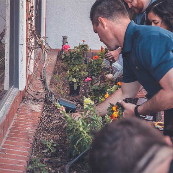 Agricultural Materials